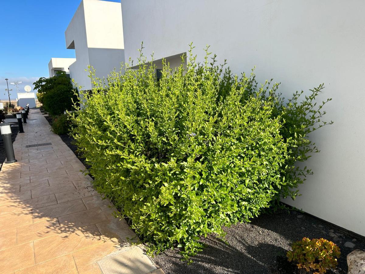 Apartamento Casilla De Costa, La Oliva *